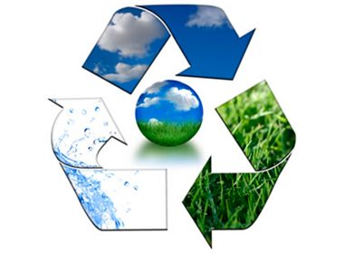 impactoambiental
